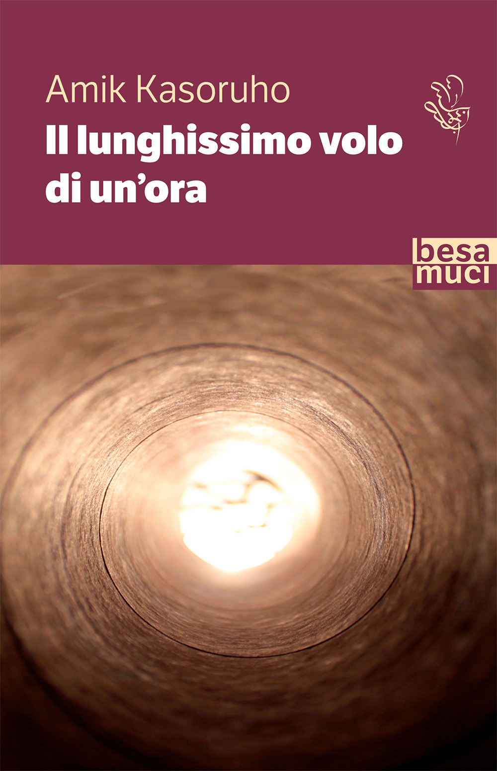 Il lunghissimo volo di un'ora