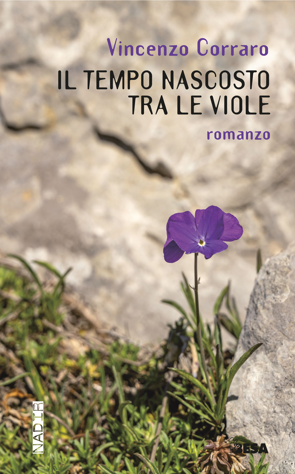 Il tempo nascosto tra le viole