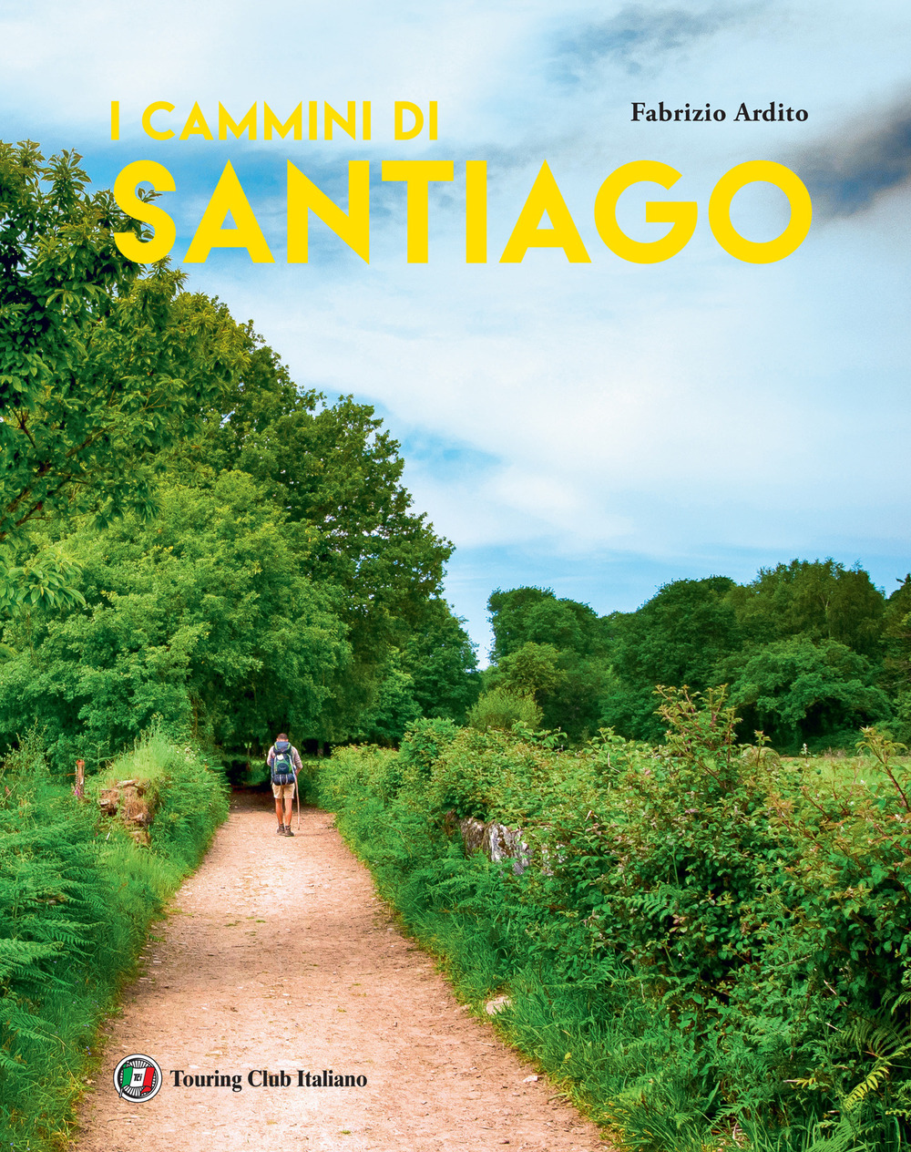 I cammini di Santiago. Ediz. a colori