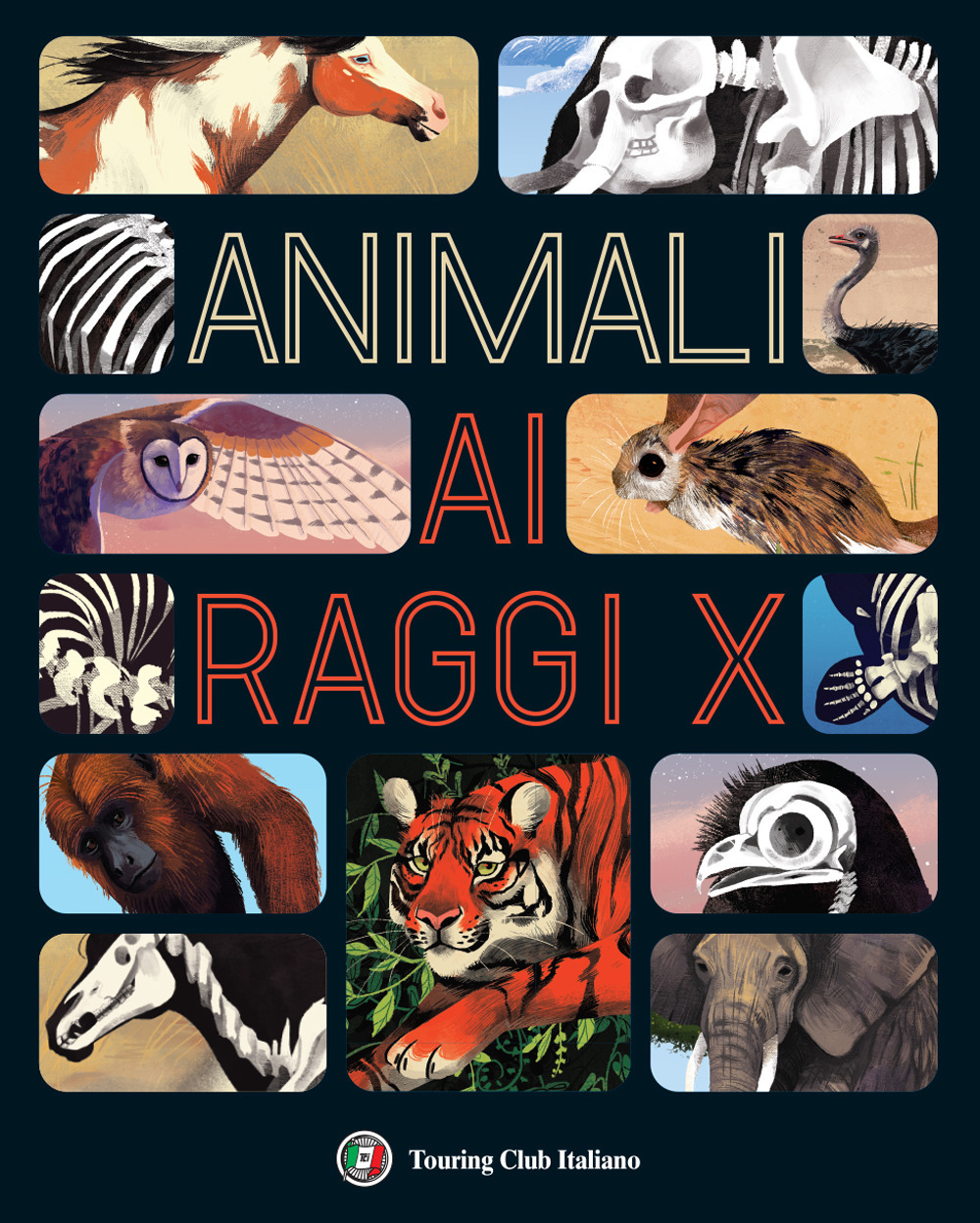 Animali ai raggi X