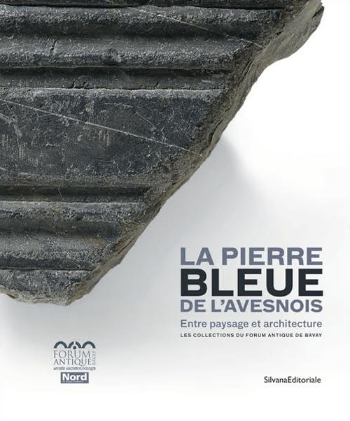 La pierre bleue de l'Avesnois. Entre paysage et architecture. Les collections du Forum Antique de Bavay. Ediz. illustrata
