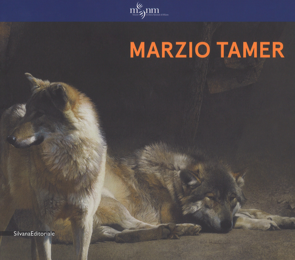 Marzio Tamer. Ediz. italiana e inglese