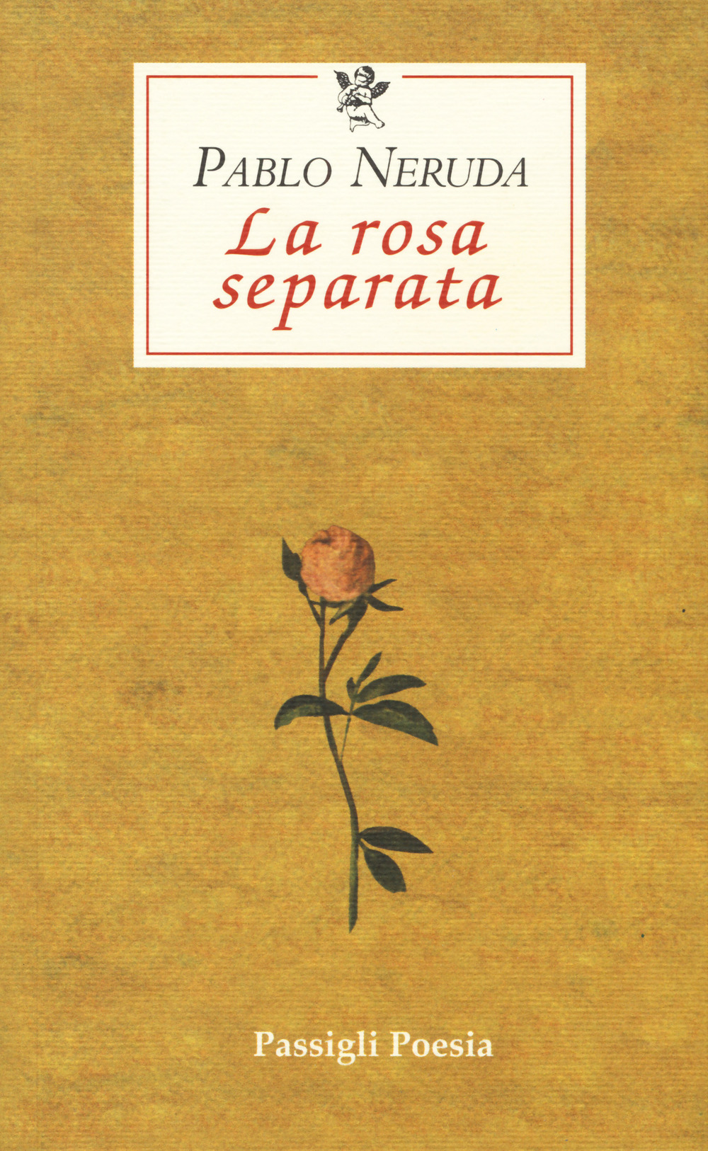 La rosa separata. Testo spagnolo a fronte