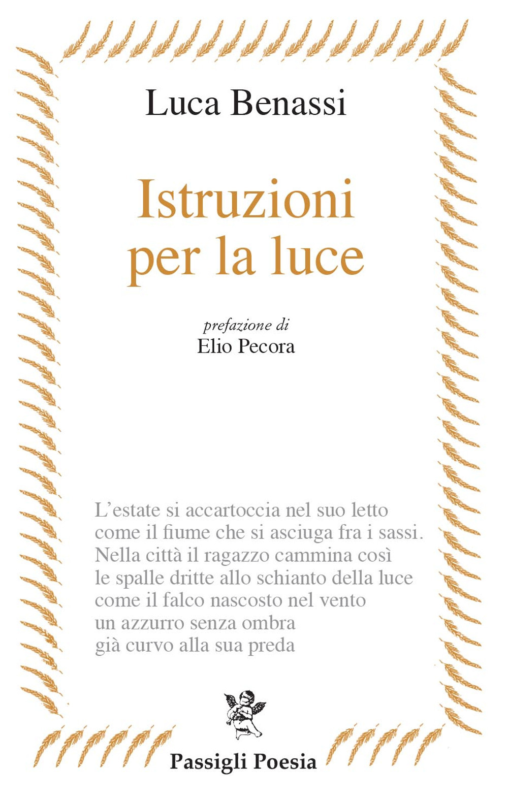 Istruzioni per la luce