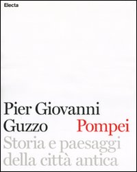 Pompei. Storia e paesaggi della città antica. Ediz. illustrata