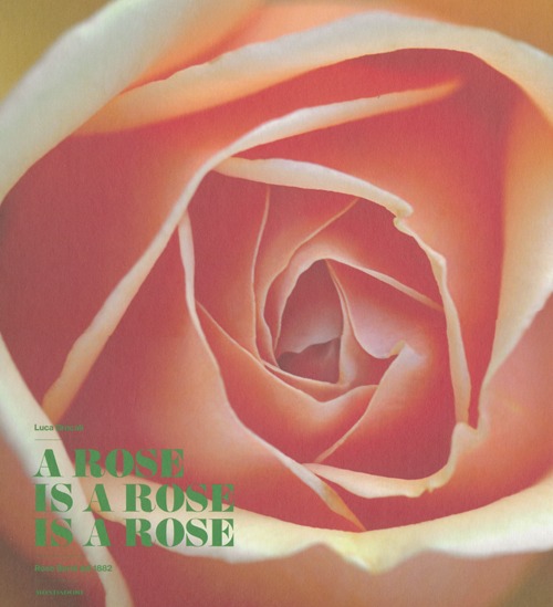 A rose is a rose is a rose. Rose Barni dal 1882. Ediz. italiana e ingl