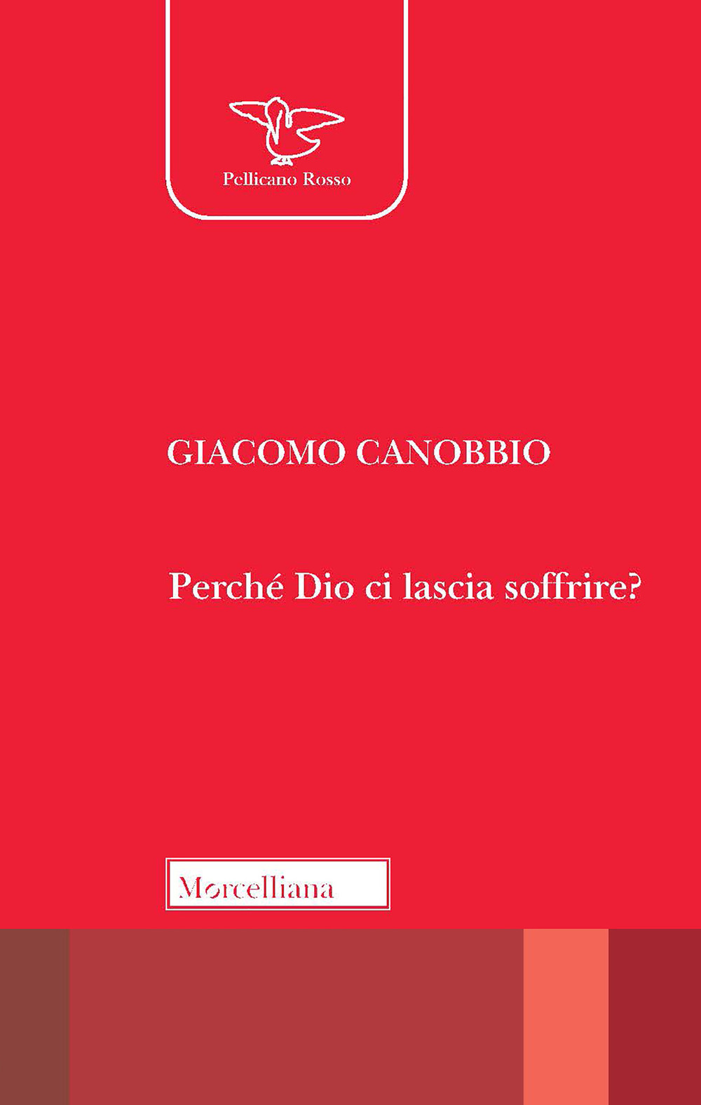 Perché Dio ci lascia soffrire?