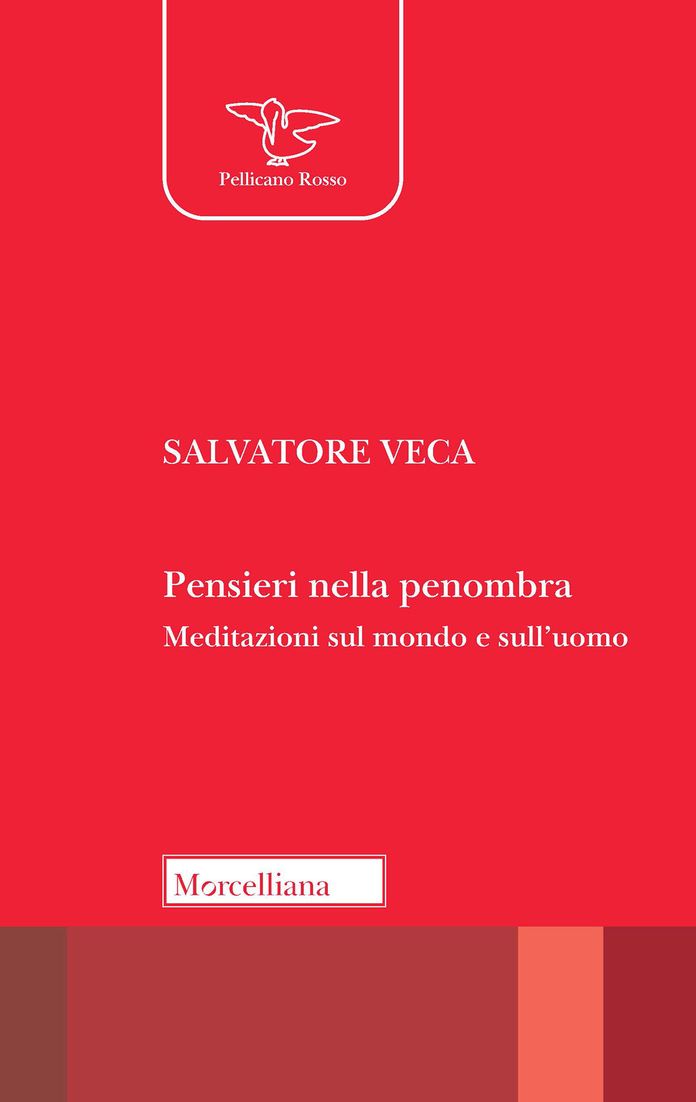 Pensieri nella penombra. Meditazioni sul mondo e sull'uomo