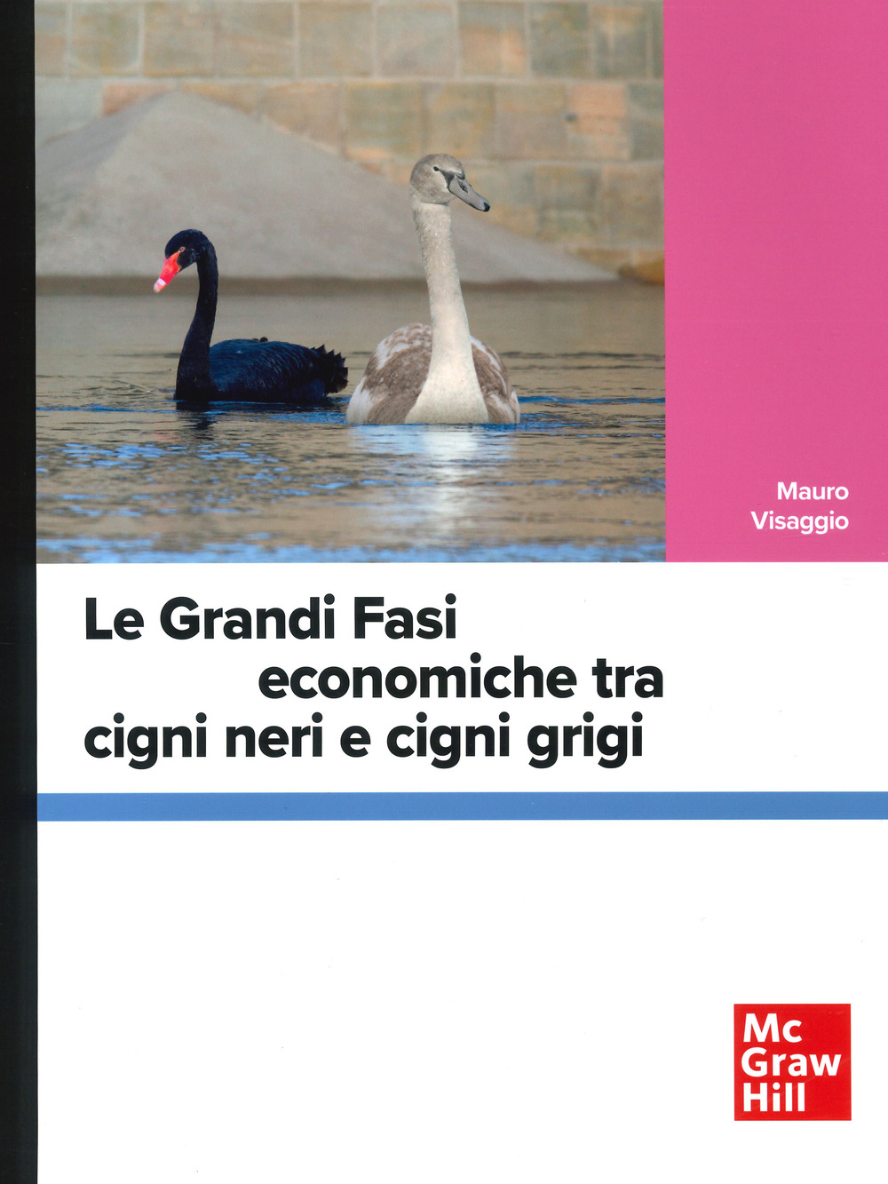 Le grandi fasi economiche tra cigni neri e cigni grigi