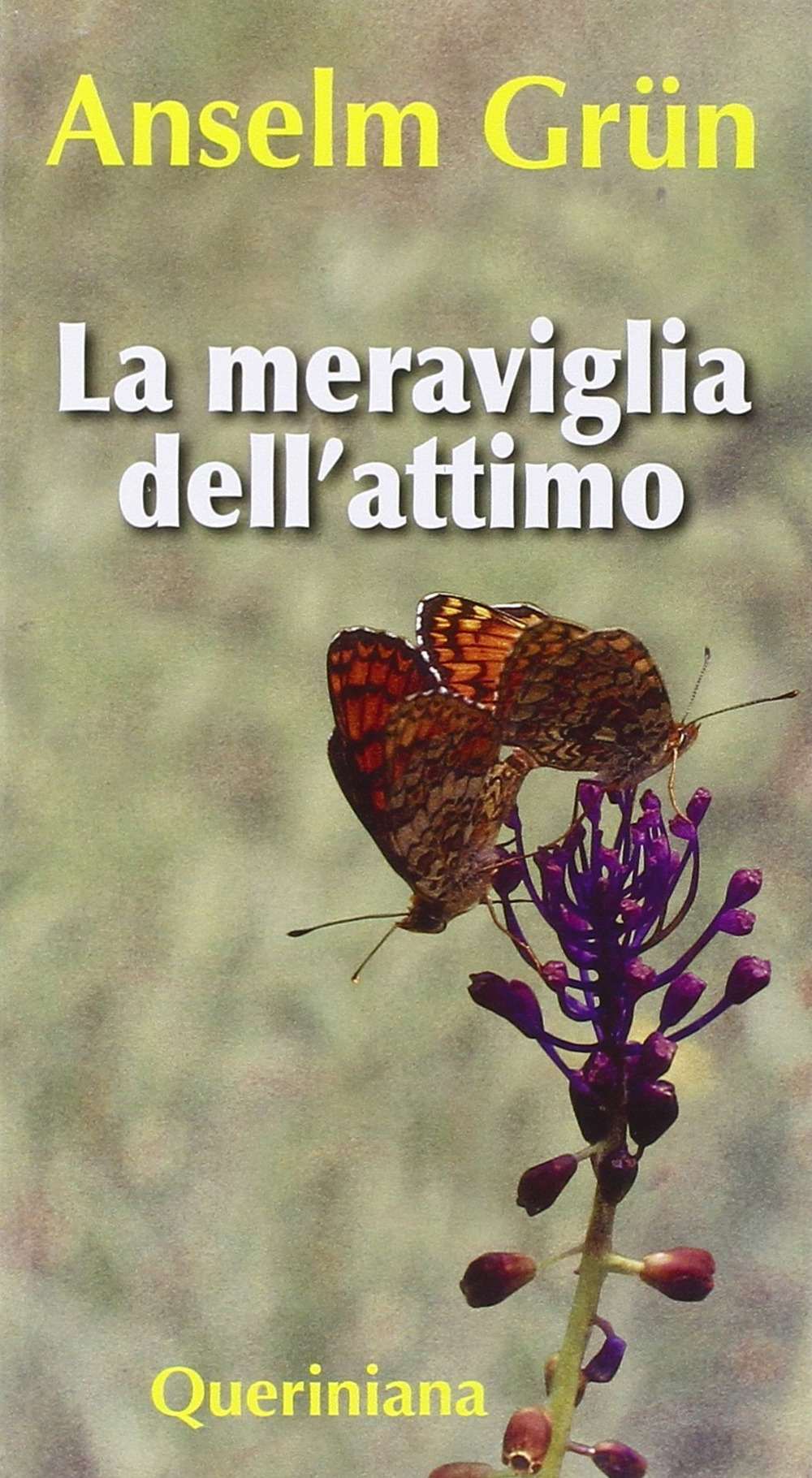 La meraviglia dell'attimo