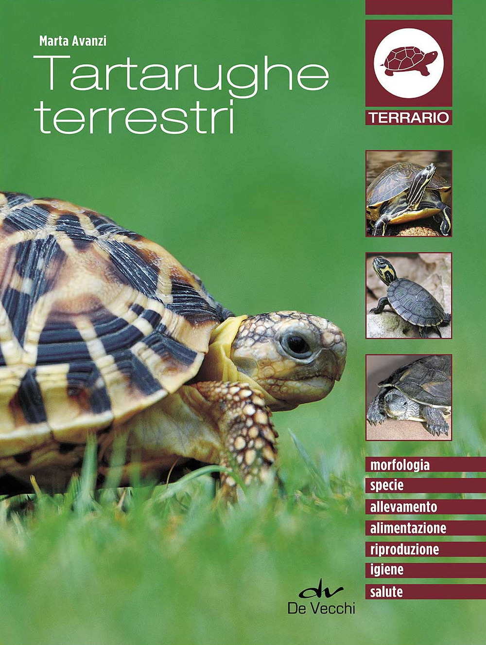 Tartarughe terrestri