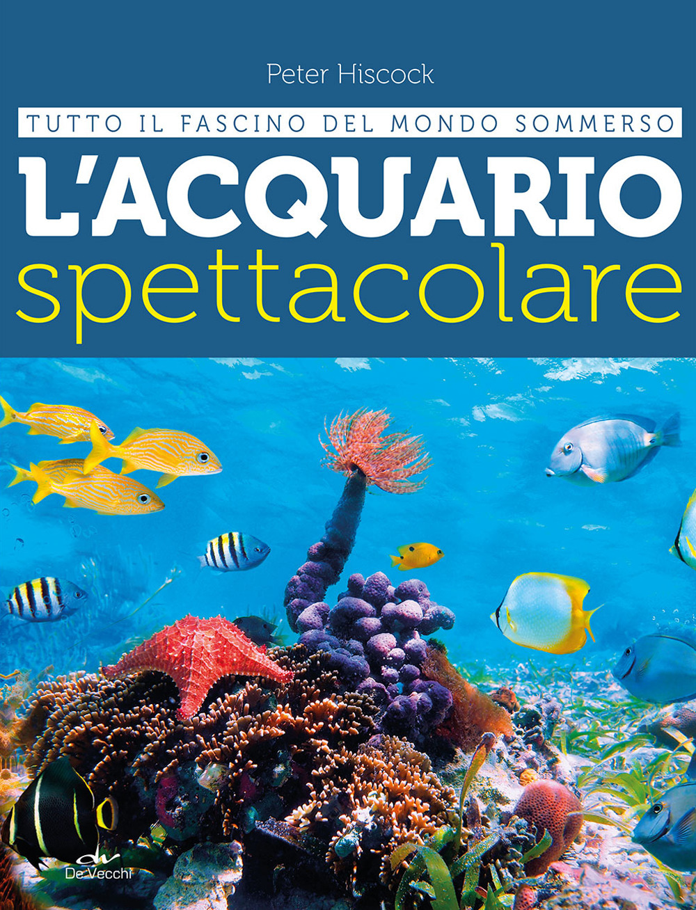 L'acquario spettacolare. Tutto il fascino del mondo sommerxo