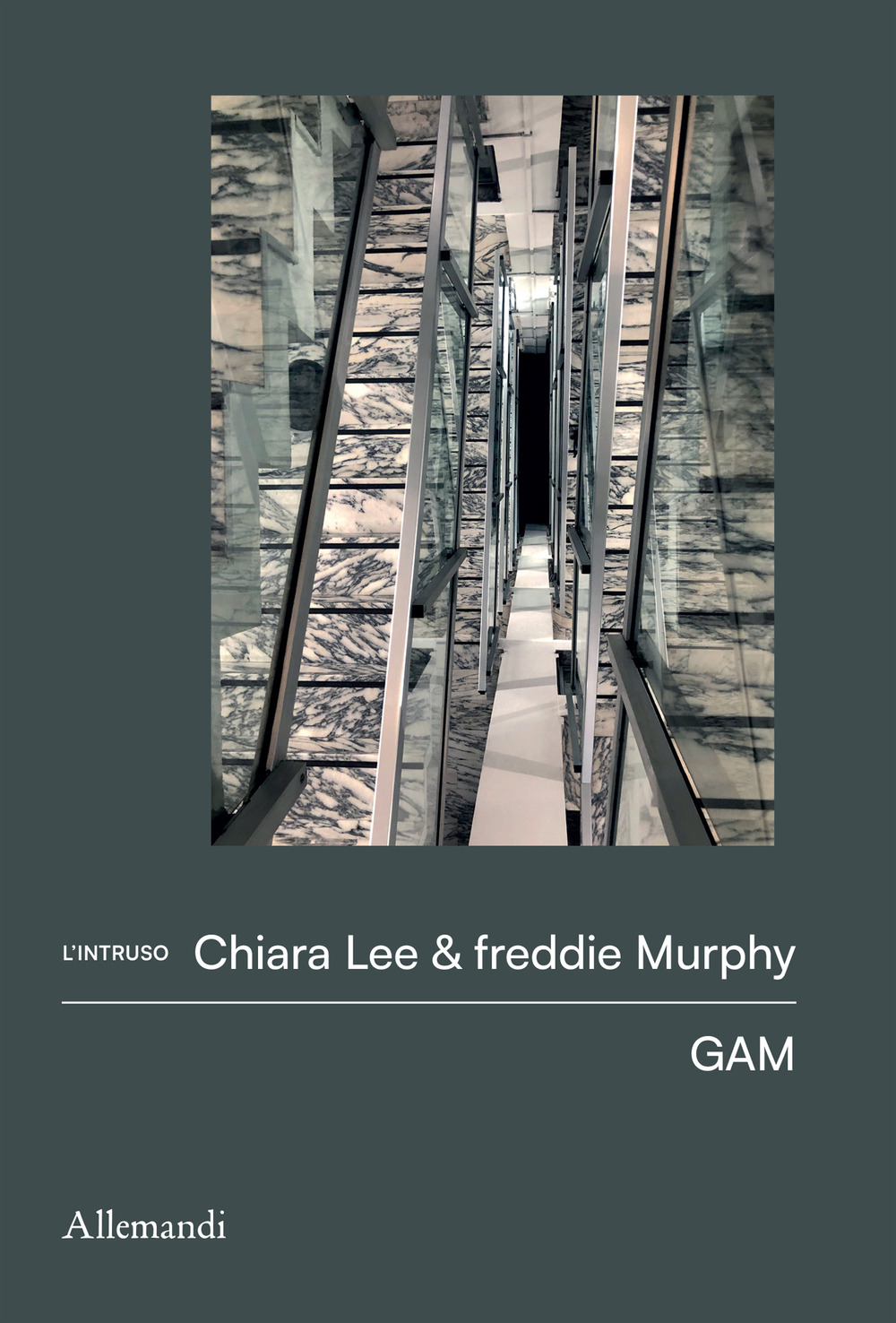 I quaderni dell'intruso. Chiara Lee & freddie Murphy. Ediz. illustrata