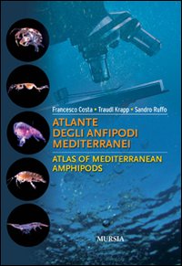 Atlante degli anfipodi mediterranei. Ediz. italiana e inglese