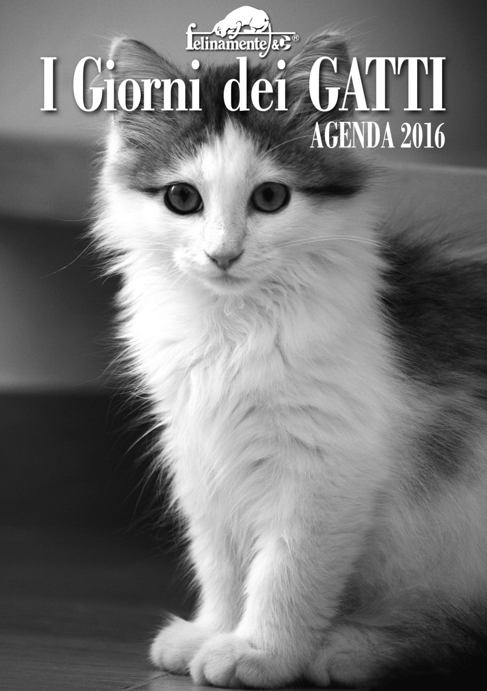 I giorni dei gatti. Agenda 2016