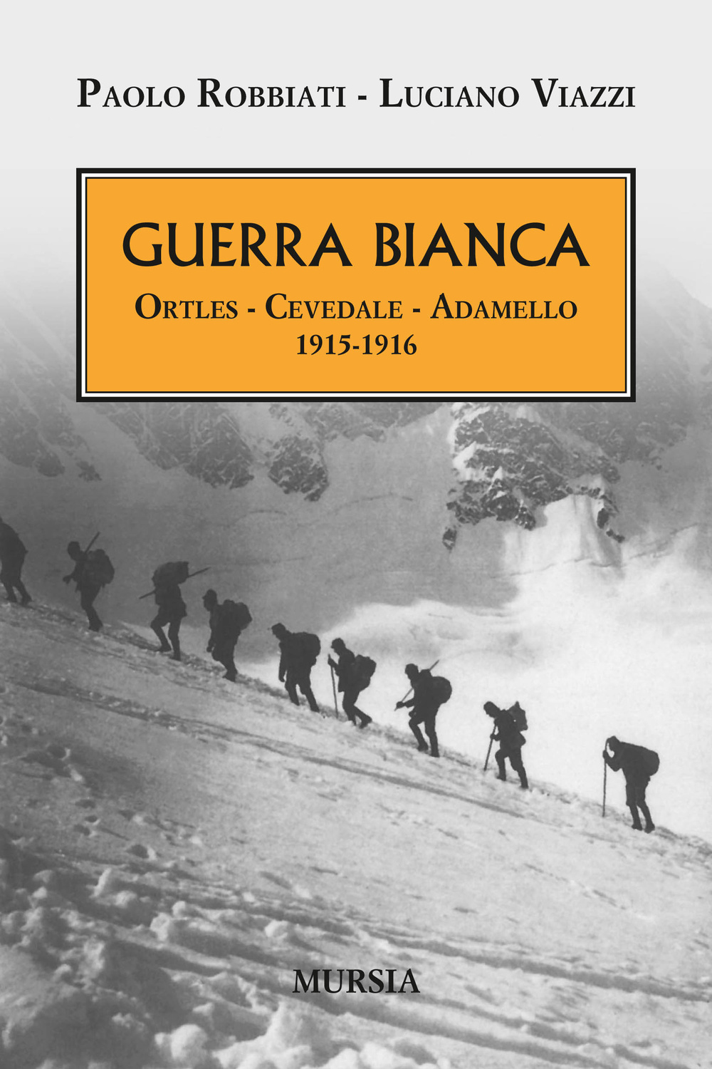 Guerra bianca. Ortles, Cevedale, Adamello 1915-1916