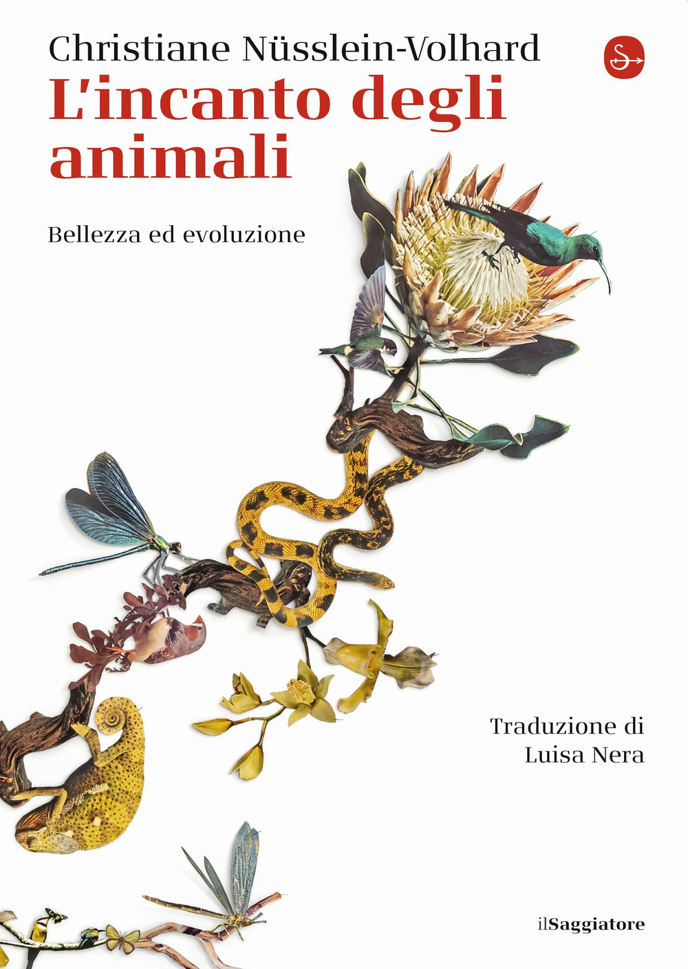 L'incanto degli animali. Bellezza ed evoluzione