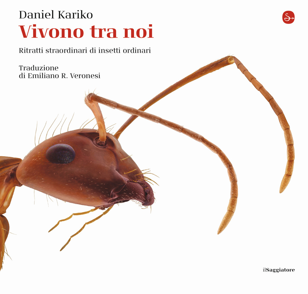 Vivono tra noi. Ritratti straordinari di insetti ordinari. Ediz. a colori