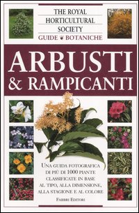 Arbusti & rampicanti