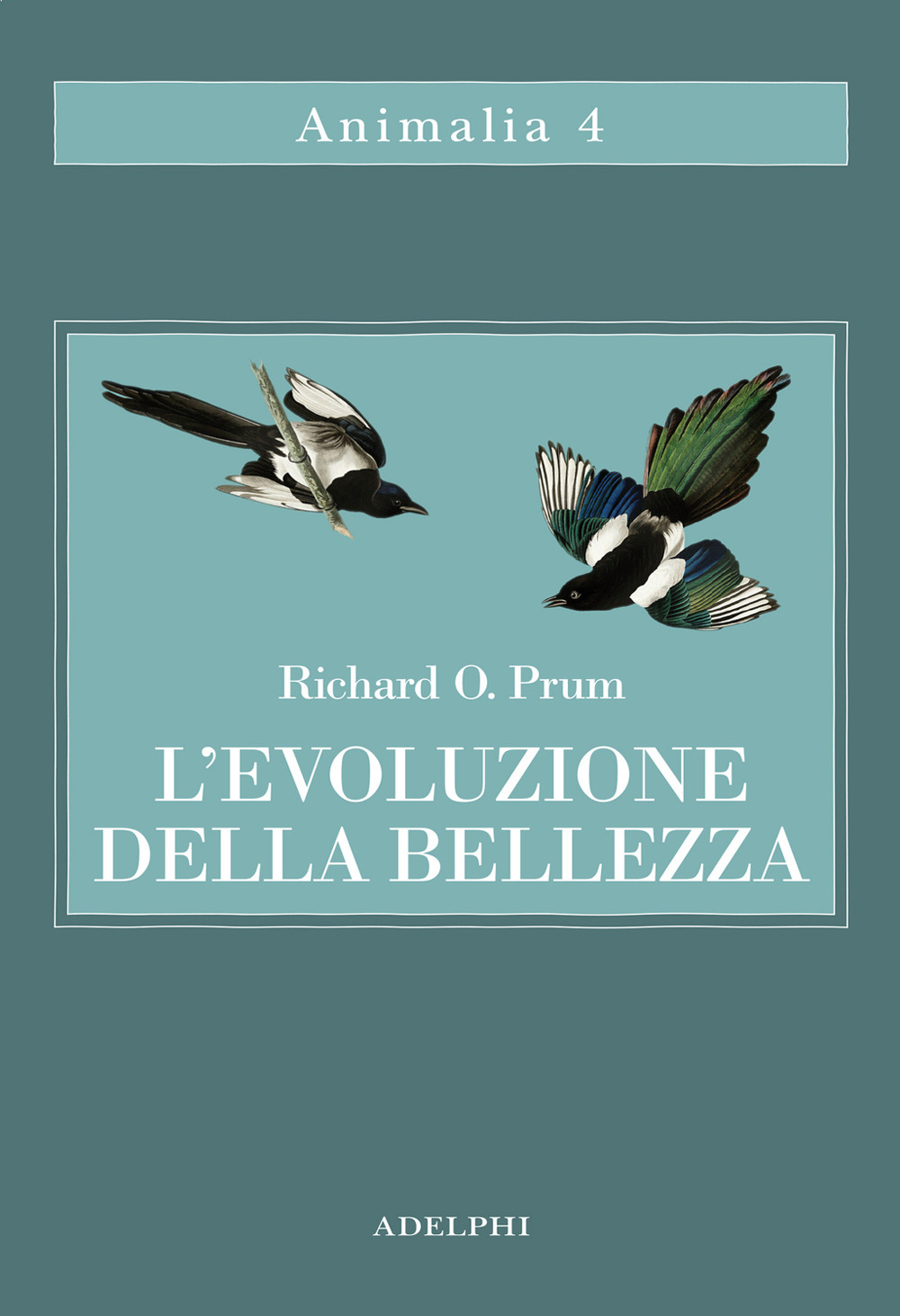 L'evoluzione della bellezza. La teoria dimenticata di Darwin