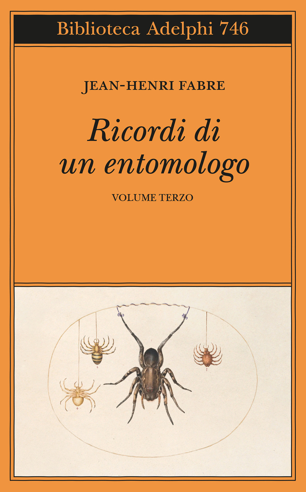 Ricordi di un entomologo. Vol. 3