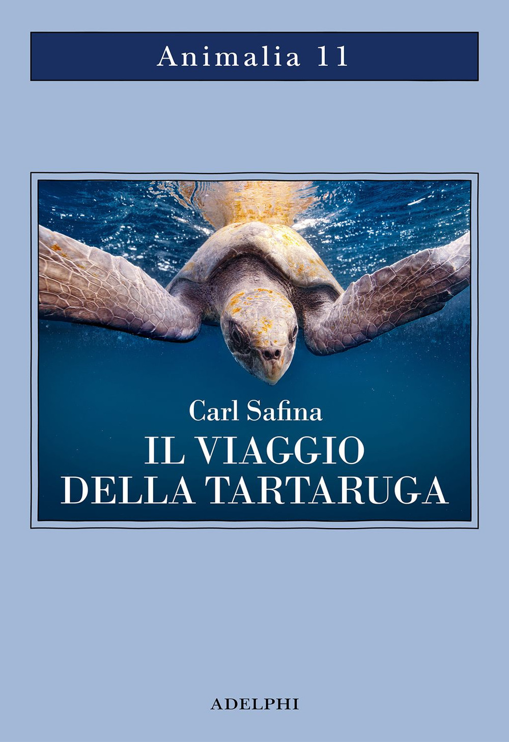 Il viaggio della tartaruga. Alla ricerca dell'ultimo dinosauro