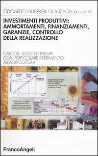 Investimenti produttivi: ammortamenti, finanziamenti, garanzie, controllo della realizzazione. Calcoli, leggi ed esempi con particolare riferimento all'agricoltura