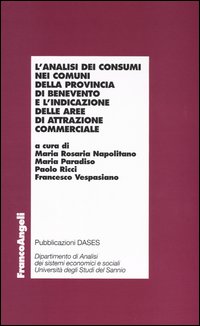 L'analisi dei consumi nei comuni della provincia di Benevento e l'indicazione delle aree di attrazione commerciale