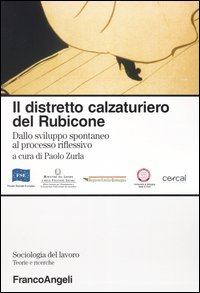 Il distretto calzaturiero del Rubicone. Dallo sviluppo spontaneo al processo riflessivo