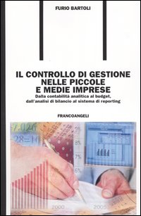 Il controllo di gestione nelle piccole e medie imprese. Dalla contabilità analitica al budget, dall'analisi di bilancio al sistema di reporting