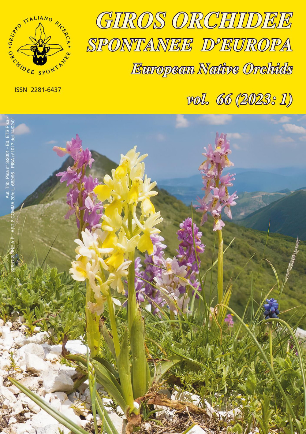 Giros. Orchidee spontanee d'Europa (2023). Vol. 1