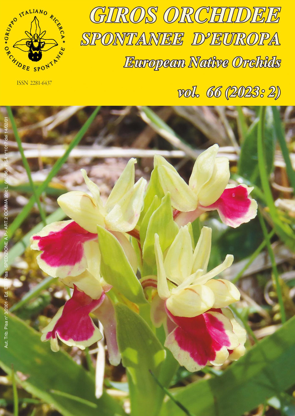 Giros. Orchidee spontanee d'Europa (2023). Vol. 2