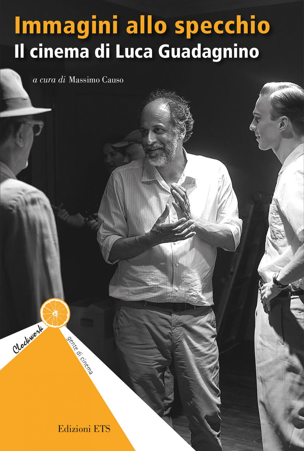 Immagini allo specchio. Il cinema di Luca Guadagnino