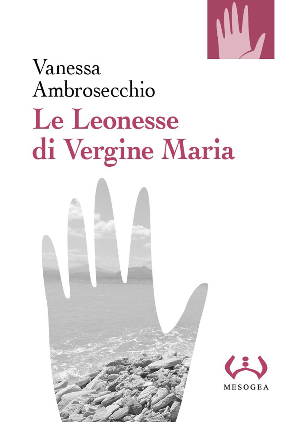 Le Leonesse di Vergine Maria