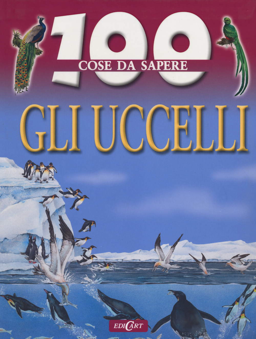 Gli uccelli