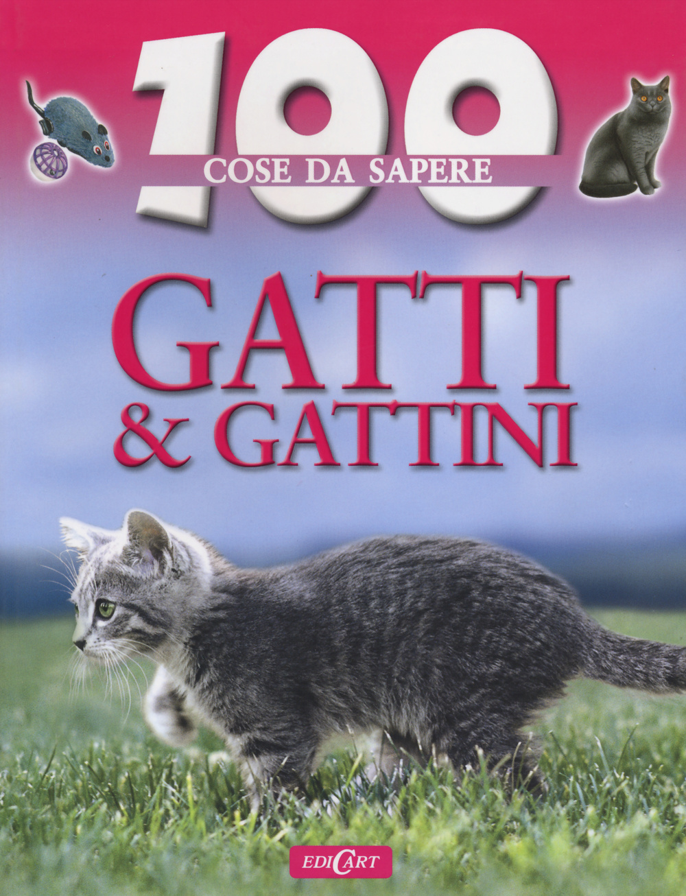 Gatti e gattini