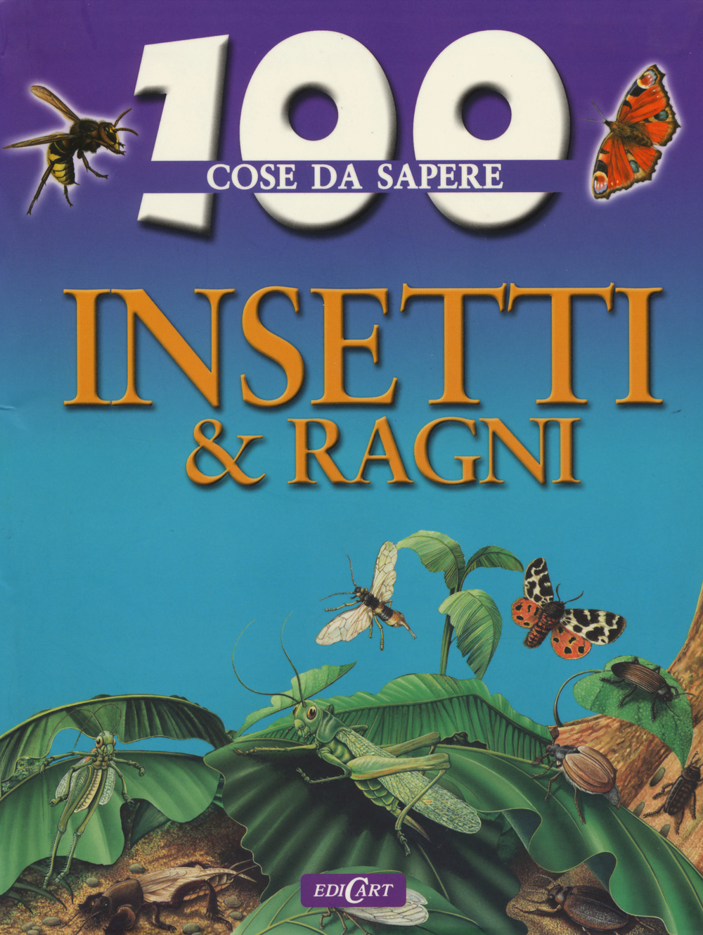 Insetti e ragni