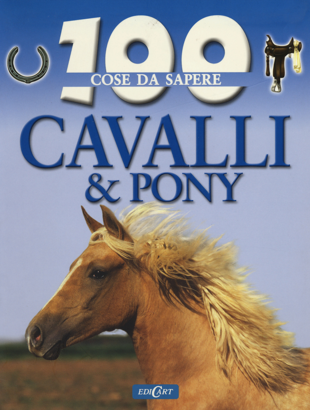 Cavalli e pony