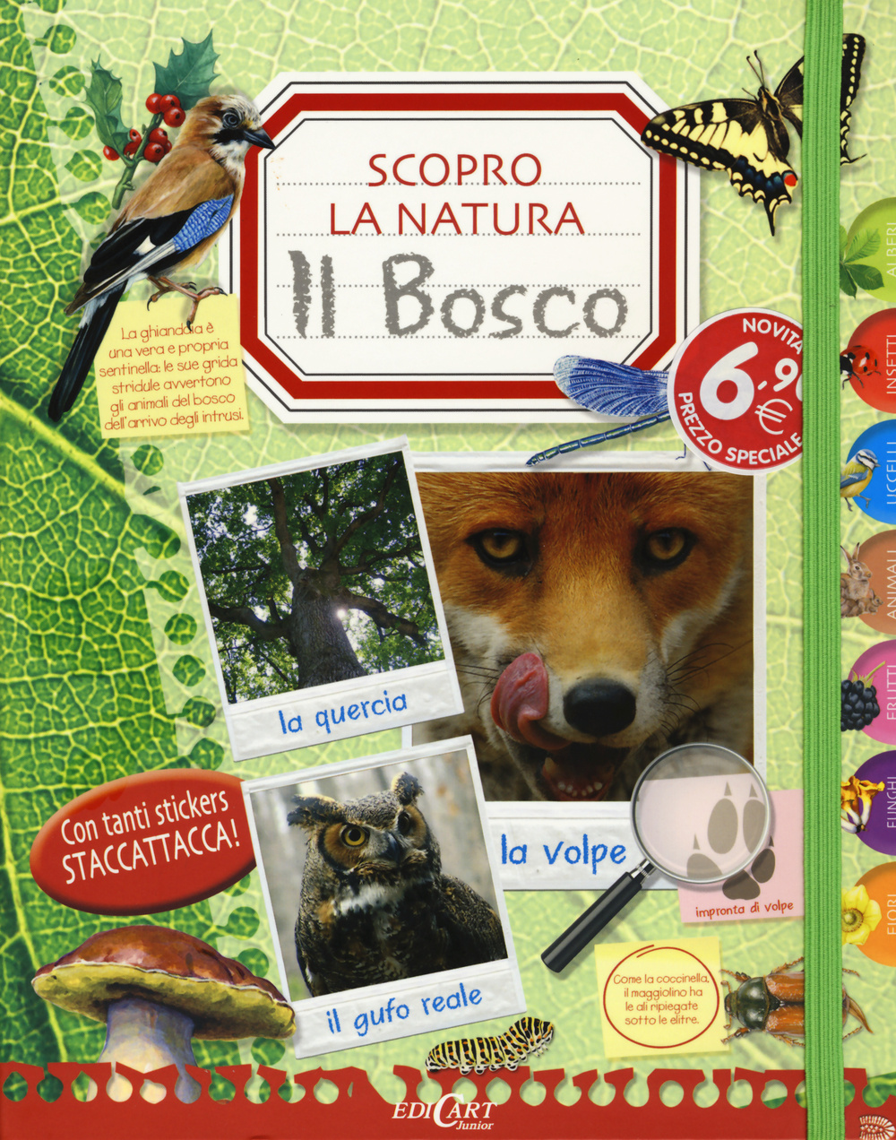 Il bosco. Scopro la natura. Con adesivi. Ediz. illustrata