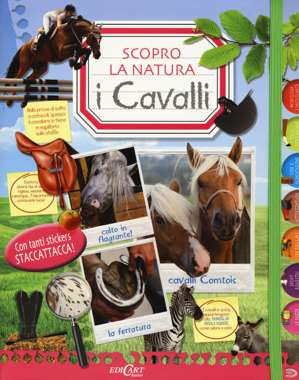 I cavalli. Scopro la natura. Con adesivi. Ediz. illustrata