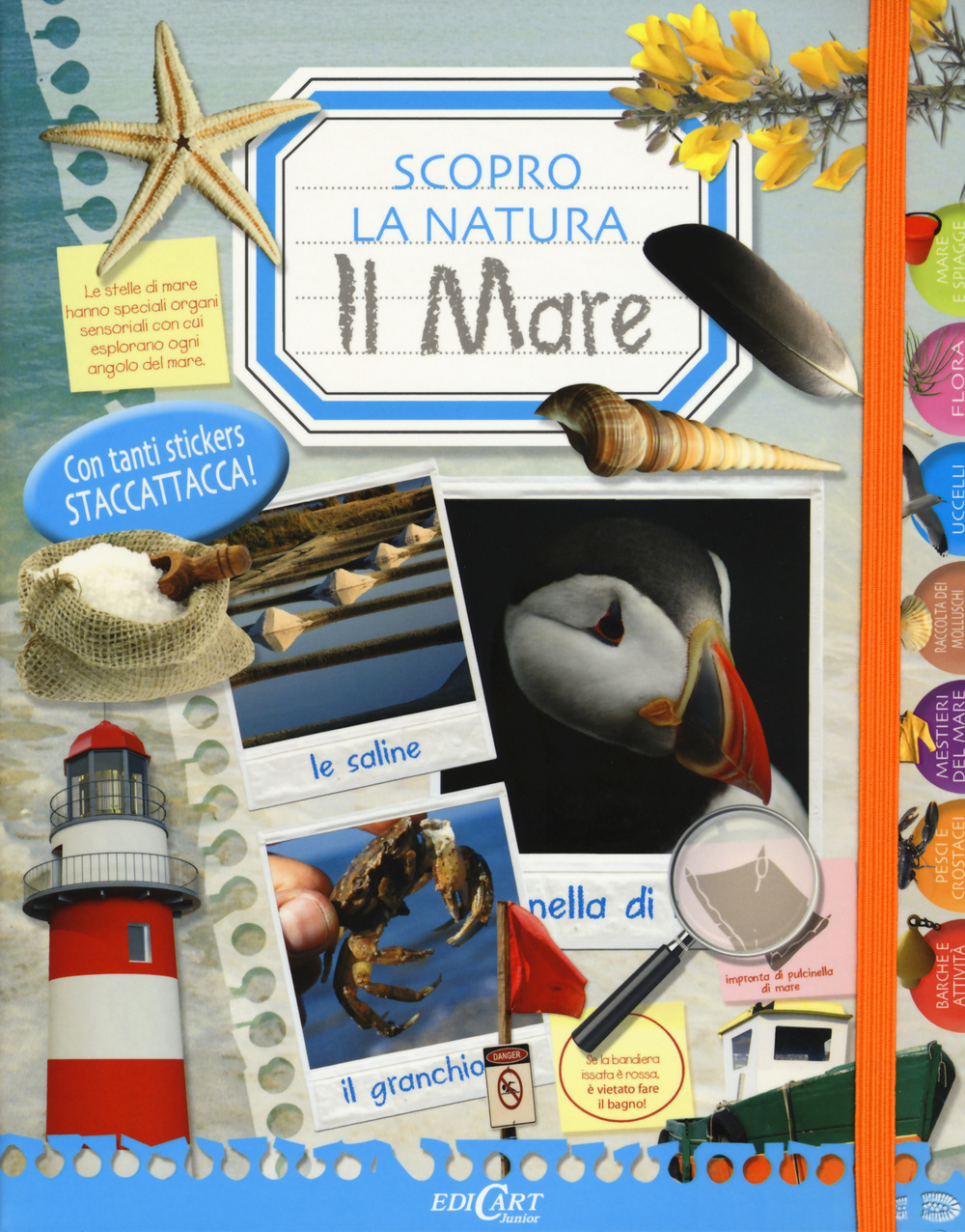 Il mare. Scopro la natura. Con adesivi. Ediz. illustrata