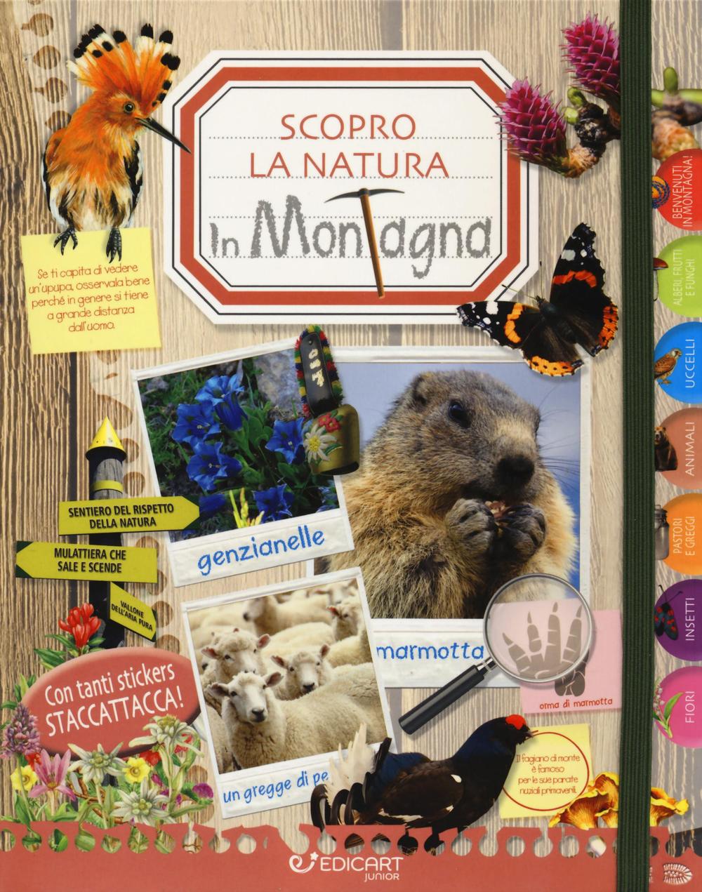 In montagna. Scopro la natura. Con adesivi. Ediz. illustrata