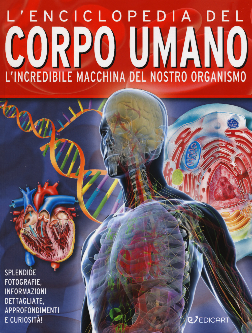 L'enciclopedia del corpo umano. L'incredibile macchina del nostro organismo