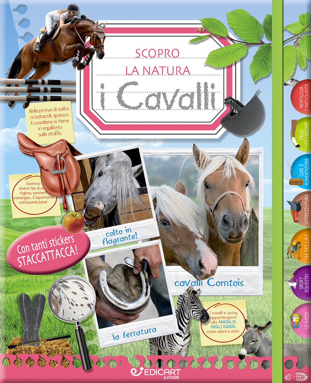 I cavalli. Scopro la natura. Con adesivi. Ediz. illustrata