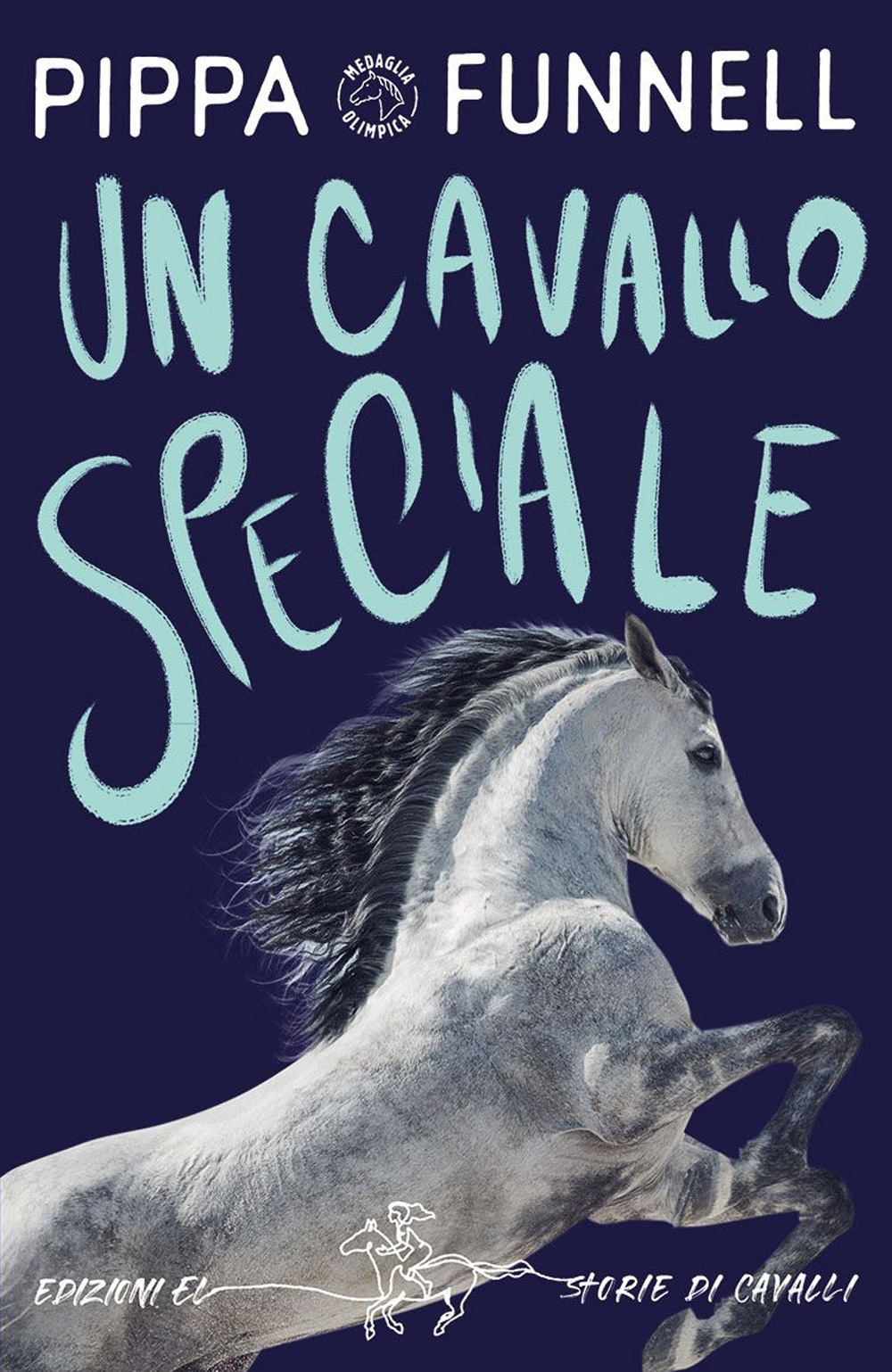 Un cavallo speciale. Ediz. illustrata