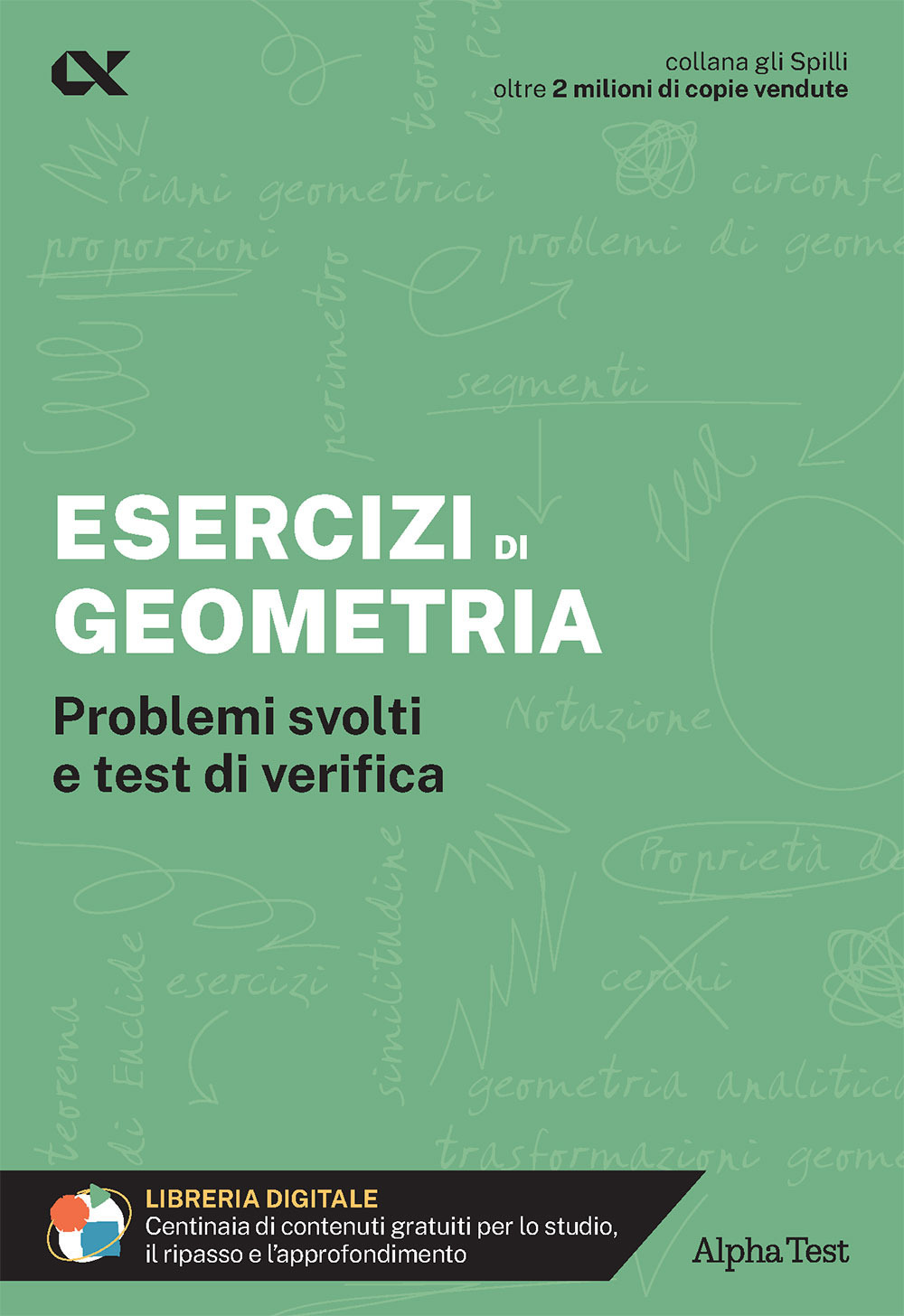 Esercizi di geometria. Problemi svolti e test di verifica. Con estensioni online