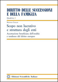 Scopo non lucrativo e struttura degli enti