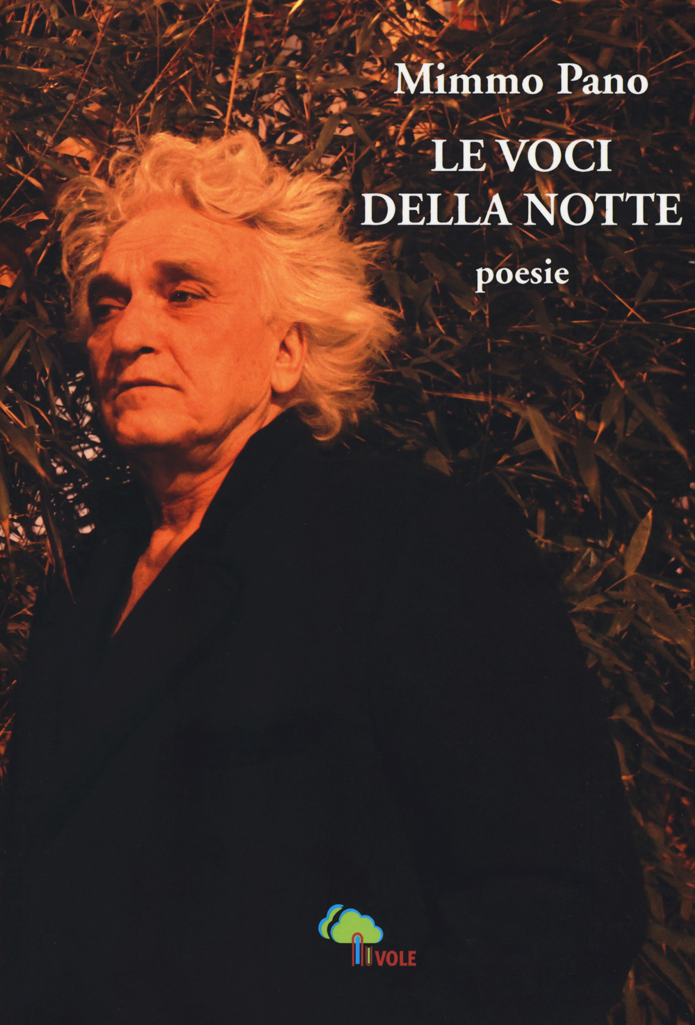 Le voci della notte