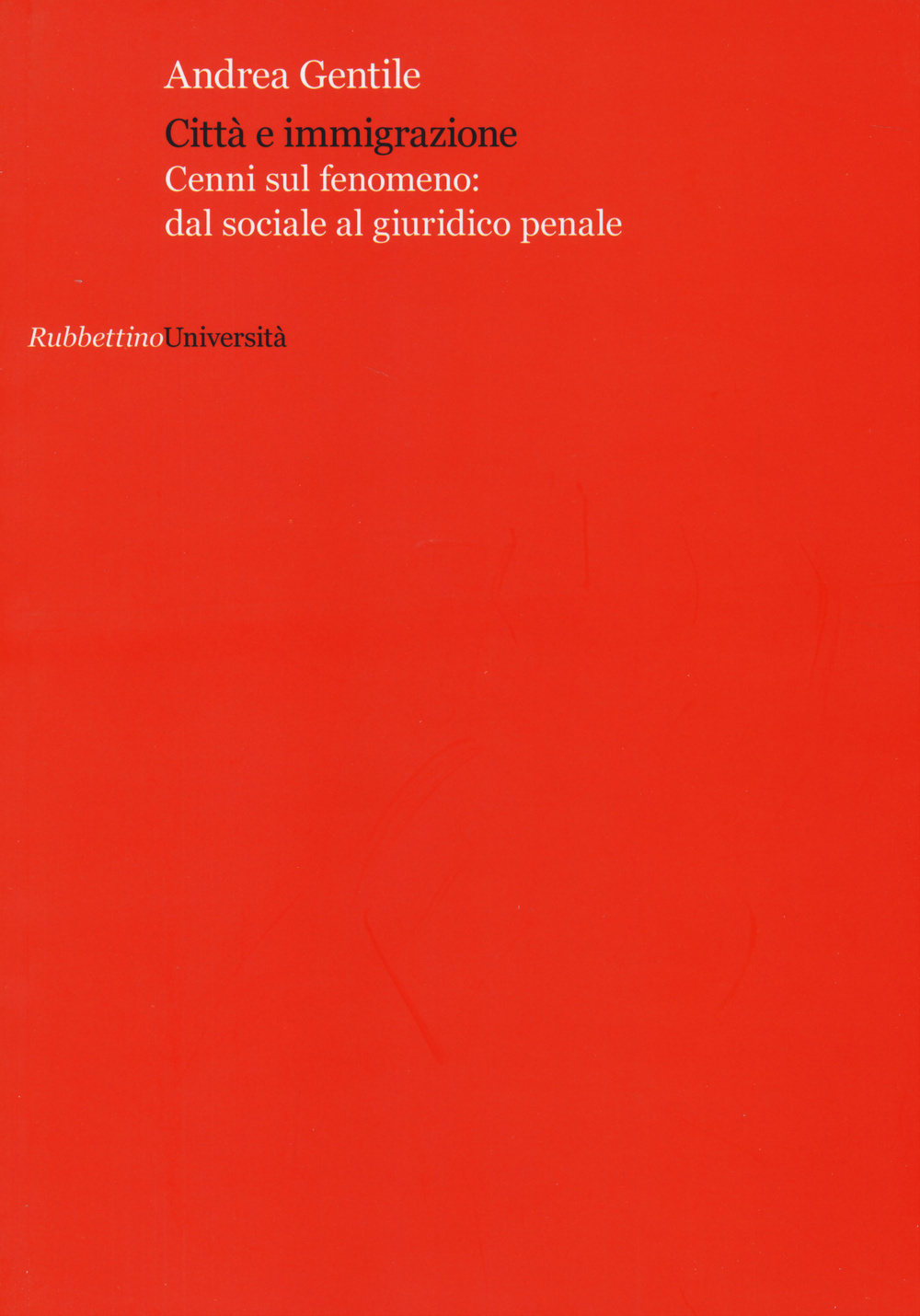 Città e immigrazione. Cenni sul fenomeno: dal sociale al giuridico penale