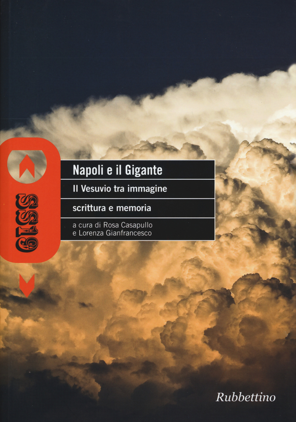 Napoli e il gigante. Il Vesuvio tra immagine scrittura e memoria